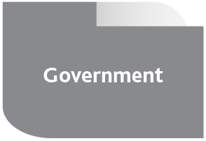 Government